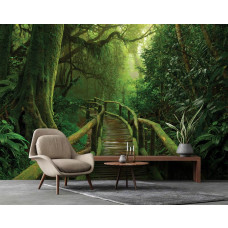 Een fotobehang met een betoverende jungle met een brug en tropische planten, ideaal voor een woonkamer.