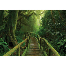 Brug die door de jungle loopt in een weelderig regenwoud, perfect vastgelegd op dit natuur fotobehang.