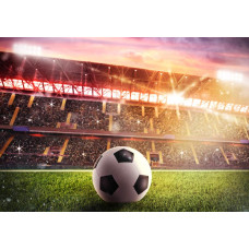 Fotobehang van een groot voetbalstadion met volle tribunes en een weids zicht op het veld, waar een wedstrijd in volle gang is.