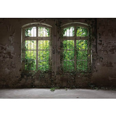 Verlaten industriële gebouwen en planten komen samen op dit fotobehang, wat een mysterieuze en verwaarloosde sfeer creëert.