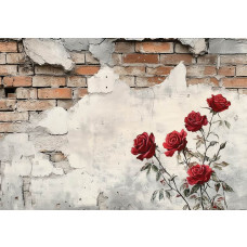 Fotobehang met romantische rozen tegen een industriële muur van verweerd beton en steenstructuur.