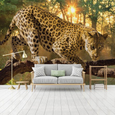 Een fotobehang met een jaguar en panter in een bosomgeving, geschikt voor een sfeervolle woonkamer.