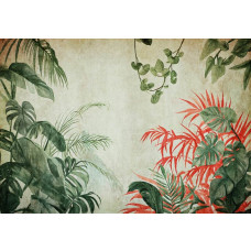 Fotobehang van jungleplanten op beton, met een botanische en moderne twist.