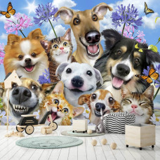 Een fotobehang met katten en honden in een grappige beestenboel stijl.