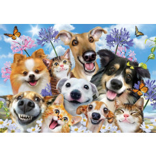 Grappige honden en katten die met elkaar op een fotobehang staan.