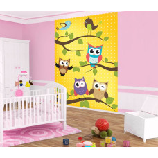 Een fotobehang met uiltjes en vogels voor de babykamer.