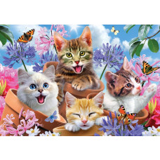 Kittens en vlinders, dolle beestenboel fotobehang met een speelse en vrolijke uitstraling voor kinderen.
