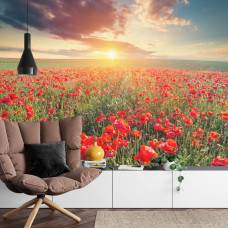 Een fotobehang met klaprozen bij zonsondergang in een open veld, afgebeeld in een huiskamer.