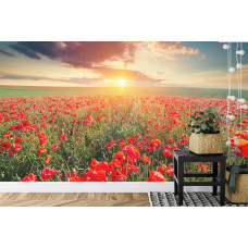 Een fotobehang met een schilderachtige zonsondergang boven een veld vol klaprozen, afgebeeld in een keuken.