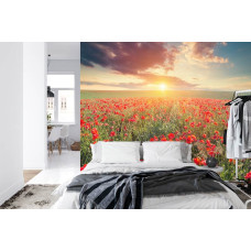 Een fotobehang met een prachtig klaprozenveld bij zonsondergang, weergegeven in een slaapkamer.