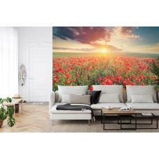 Een fotobehang met een klaprozenveld in het warme licht van de avond, weergegeven in een woonkamer.
