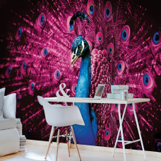 Een fotobehang van kleurrijke pauwveren in levendige paarse en roze tinten in een kinderkamer.