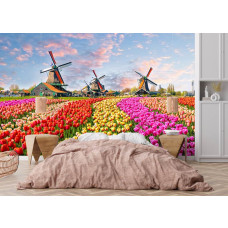 Fotobehang van kleurrijke tulpenvelden en molens in een sfeervolle slaapkamer.