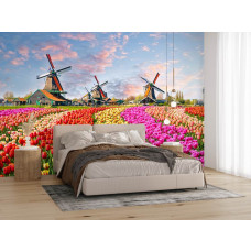 Fotobehang met kleurrijke tulpen en windmolens bij de Zaanse Schans in een moderne slaapkamer.