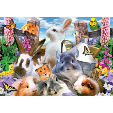 Hamsters en marmotten in een dolle beestenboel, fotobehang met knaagdieren voor een vrolijke uitstraling.