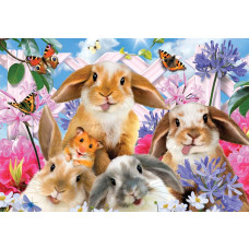 Knaagdieren in een dolle beestenboel, fotobehang met konijnen, hamsters en vrolijke dieren.