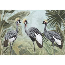 Fotobehang van kraanvogels in de jungle, met een focus op de exotische omgeving en dieren.