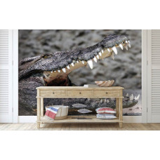Een fotobehang met een krokodil te zien in de slaapkamer en woonkamer.