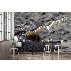 Een fotobehang met een krokodil.