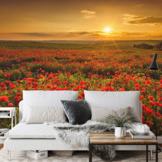Een fotobehang met een serene natuurweergave van klaprozen en zachte zonsondergangskleuren in een eetkamer.