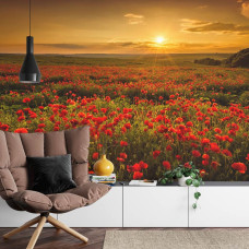 Een fotobehang met een uitgestrekt klaprozenveld bij zonsondergang, perfect voor een huiskamer.