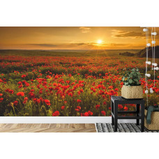 Een fotobehang met een schilderachtig landschap van klaprozen en een warme zonsondergang in een keuken.