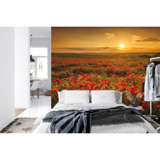 Een fotobehang met een rustgevend uitzicht op een klaprozenveld bij avondlicht in een slaapkamer.