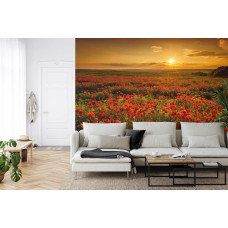 Een fotobehang met een sfeervolle zonsondergang boven een klaprozenveld, ideaal voor een woonkamer.