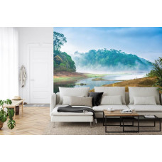 Een natuurlijk fotobehang van een mistig boslandschap, perfect voor een woonkamer.