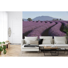 Een fotobehang met een lavendelveld in de bergen, afgebeeld in een woonkamer.