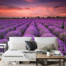 Een fotobehang met een sprookjesachtige zonsondergang boven een lavendelveld, weergegeven in een eetkamer.