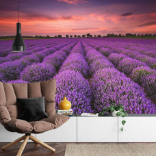 Een fotobehang met een lavendelveld vol magie, weergegeven in een huiskamer.