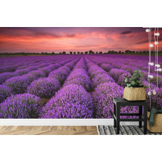 Een fotobehang met een adembenemend lavendelveld in een keuken.