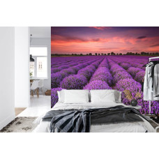 Een fotobehang met een betoverend lavendelveld in het avondlicht, afgebeeld in een slaapkamer.