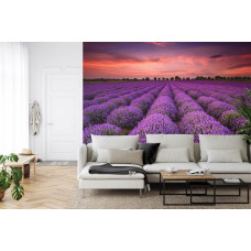 Een fotobehang met een magisch lavendelveld bij zonsondergang, afgebeeld in een woonkamer.