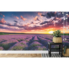Een fotobehang met een sereen lavendelveld bij zonsondergang, weergegeven in een eetkamer.