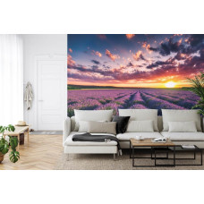 Een fotobehang met een lavendelveld bij zonsondergang, afgebeeld in een huiskamer.