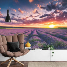 Een fotobehang met een rustgevend landschap van lavendel bij zonsondergang, weergegeven in een woonkamer.
