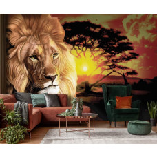 Een fotobehang van een leeuw bij zonsondergang in een Afrikaans landschap voor de woonkamer.