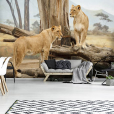 Een fotobehang van leeuwinnen in de Afrikaanse natuur te zien in de huiskamer.