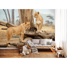 Een fotobehang van leeuwinnen in de Afrikaanse natuur te zien in de woonkamer.