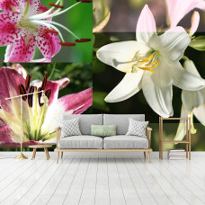 Een fotobehang met lelies en planten in een abstract design, geschikt voor een moderne woonkamer.