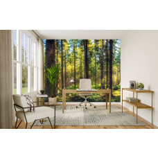 Fotobehang van een natuurlijk dennenbos in een eigentijds kantoor.