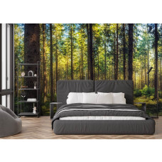 Fotobehang van een dennenbos met invallend zonlicht in een sfeervolle slaapkamer.