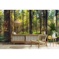 Fotobehang van een licht dennenbos in een moderne woonkamer met natuurlijke uitstraling.