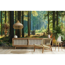Fotobehang van een bos met zonnestralen in een moderne woonkamer.