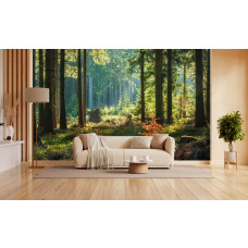 Fotobehang met een natuurlijk boslandschap en warme lichtinval in een stijlvolle woonkamer.