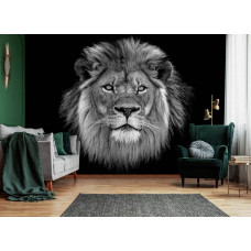 Fotobehang van een leeuw in het wild, perfect voor de huiskamer.