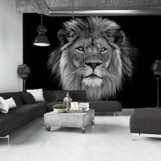 Fotobehang van een leeuw in het wild, perfect voor de slaapkamer of woonkamer.