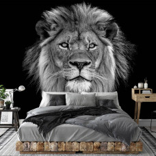 Fotobehang van een leeuw in het wild, ideaal voor de slaapkamer.